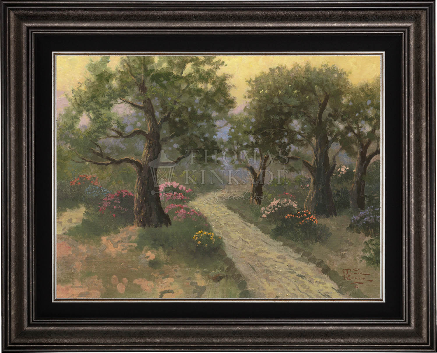 canvas_garget_drkptr.jpg
