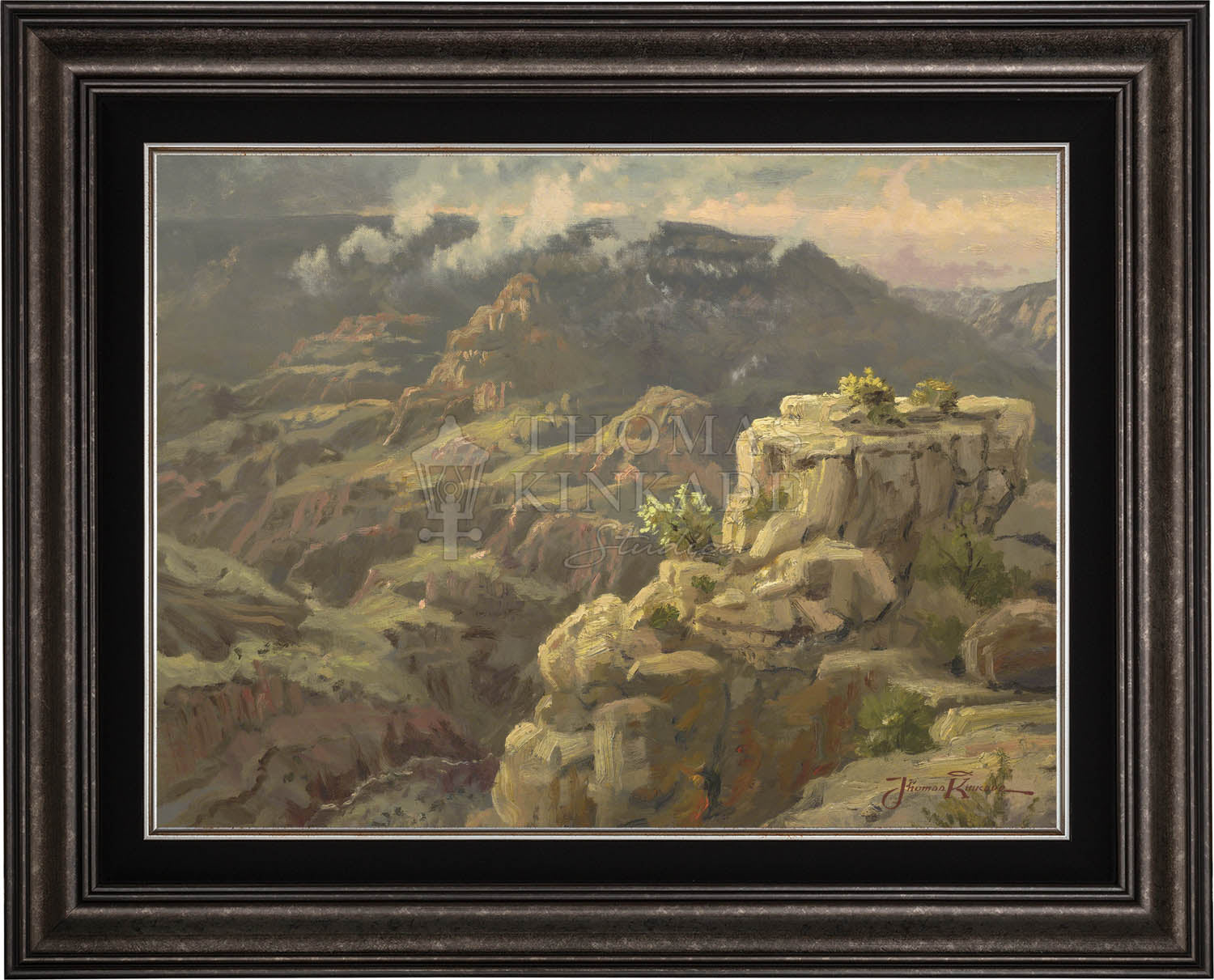 canvas_gracan_drkptr.jpg