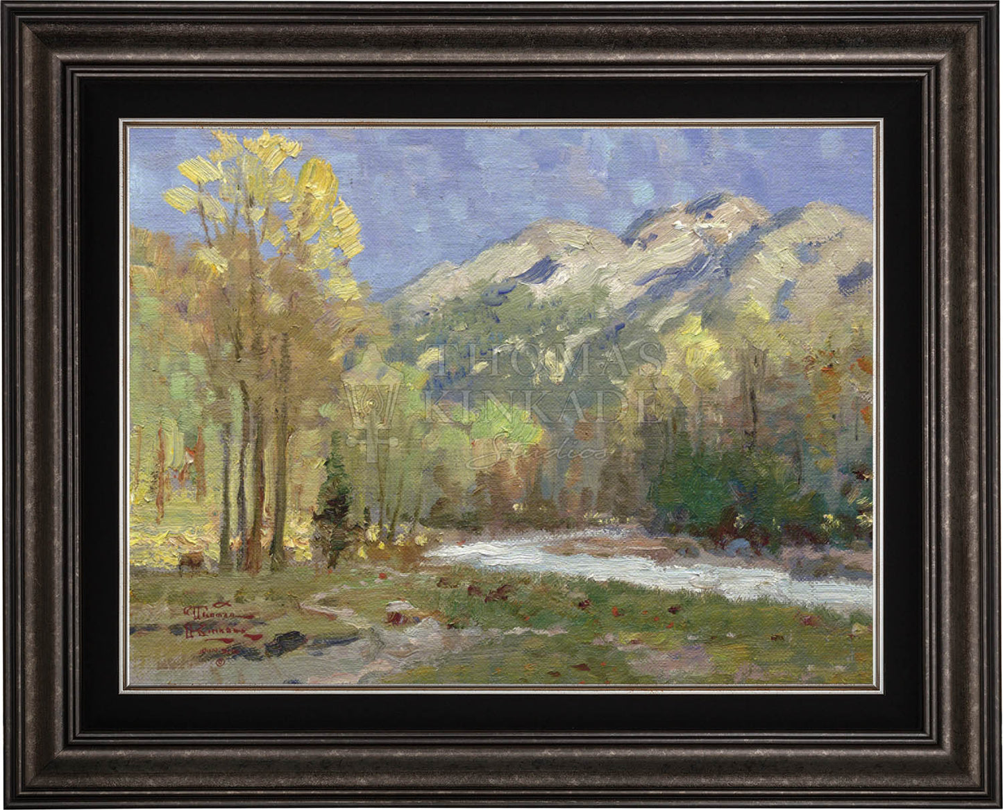 canvas_hicome_drkptr-3.jpg