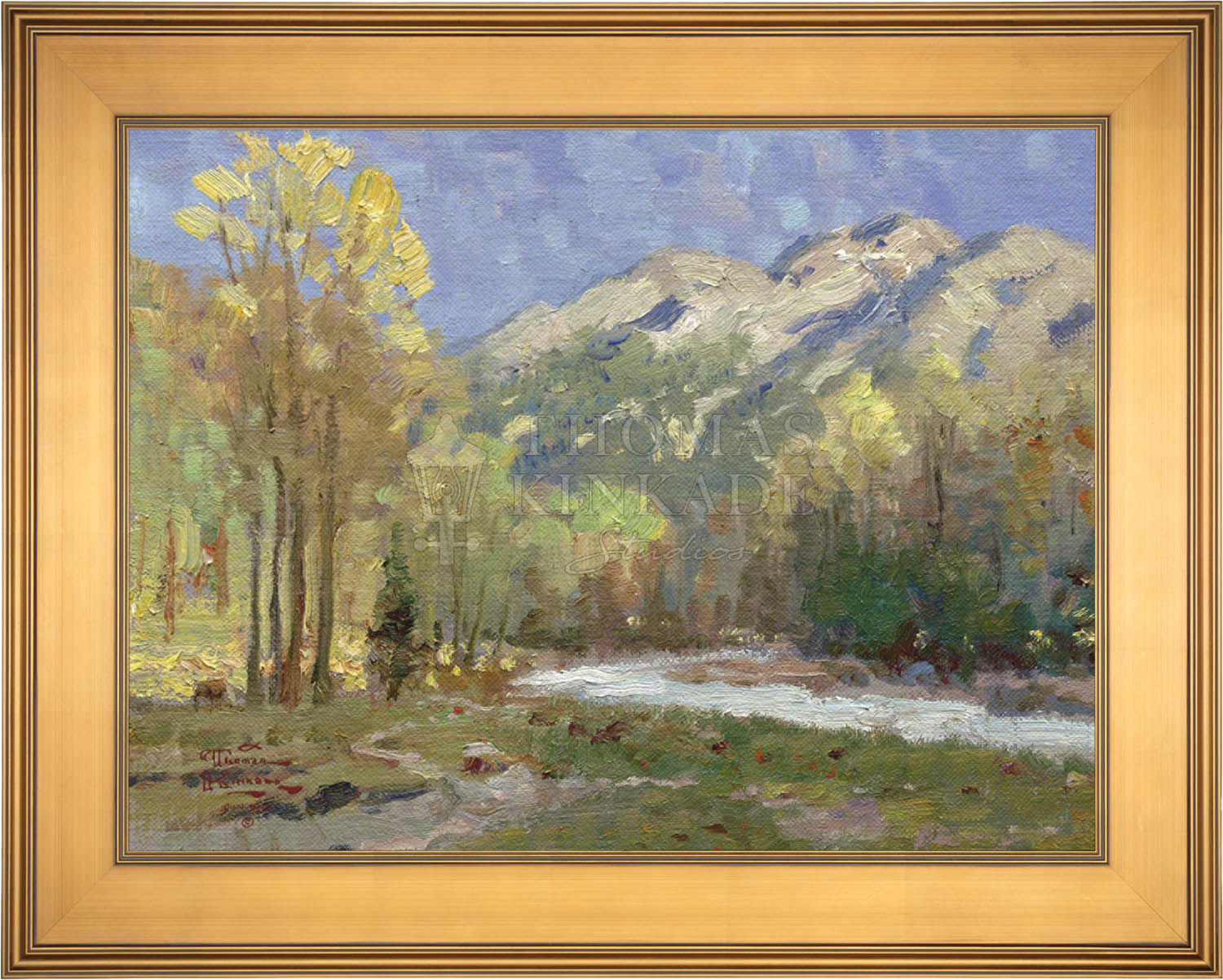 canvas_hicome_galgld-3.jpg