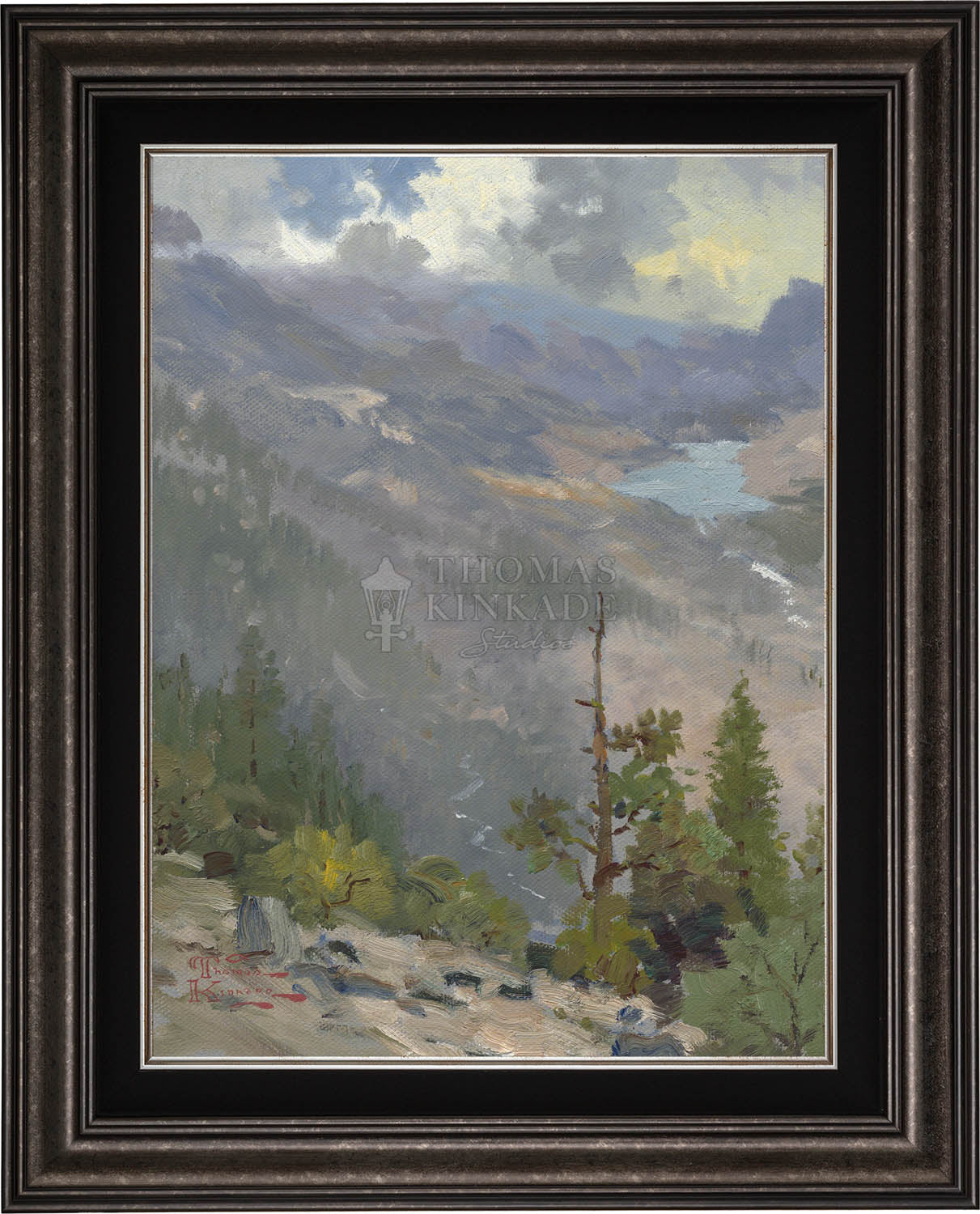 canvas_hicovi_drkptr.jpg
