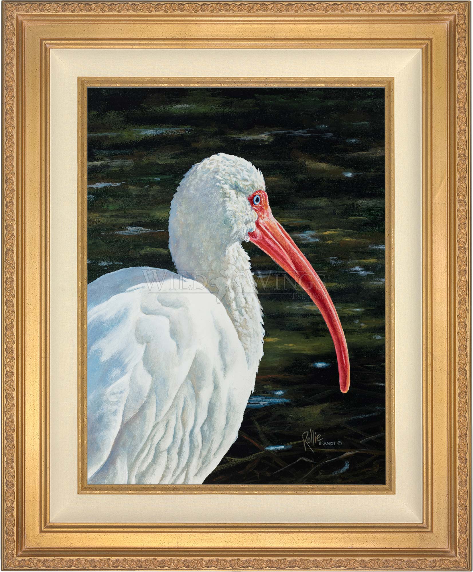 canvas_ibbego_antgld.jpg