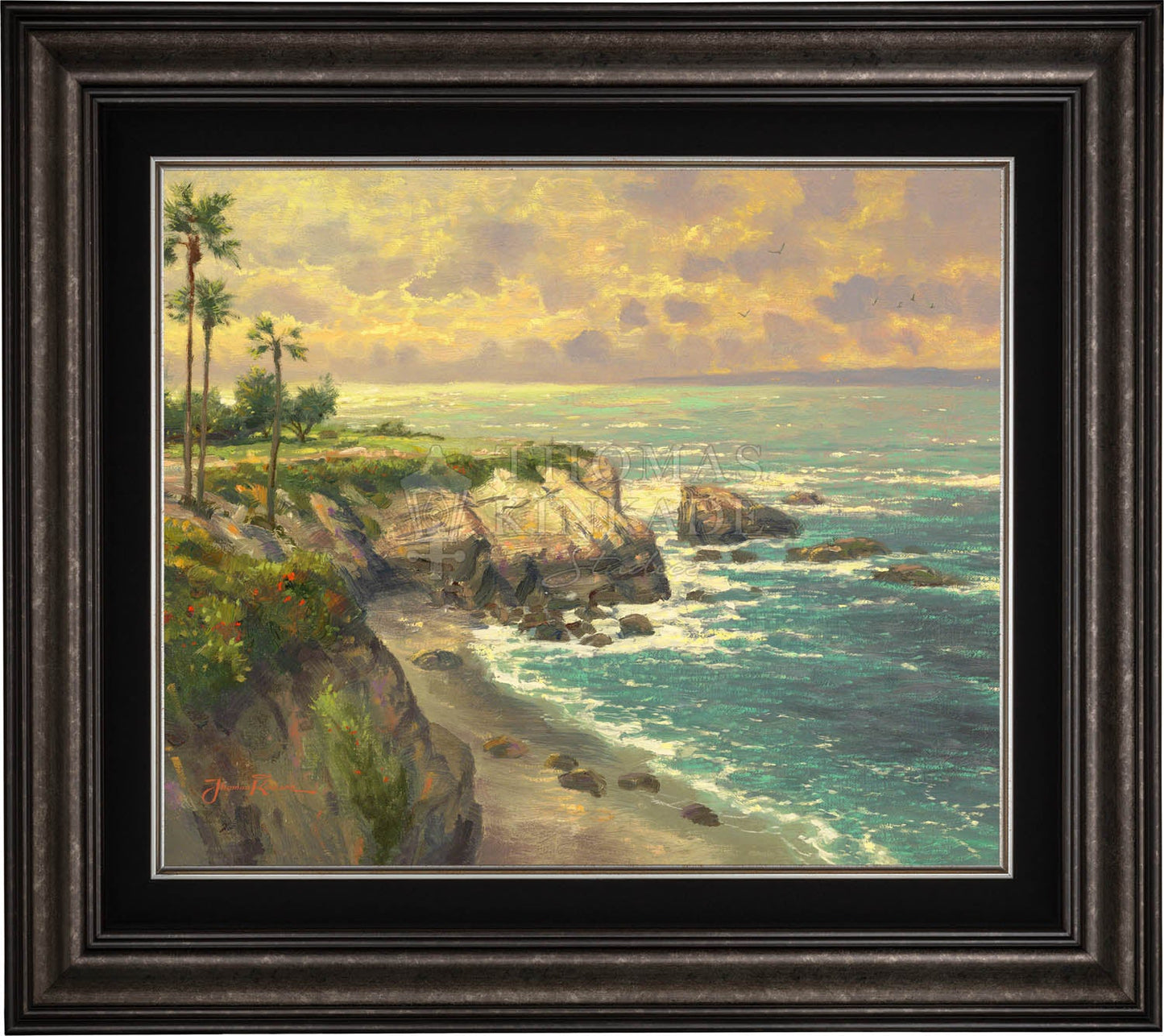 canvas_lajoll_drkptr.jpg