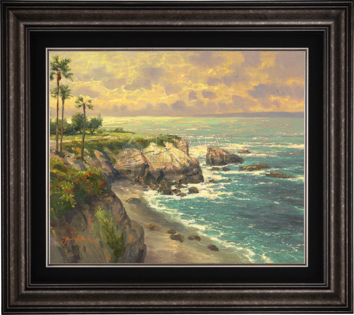canvas_lajoll_drkptr.jpg