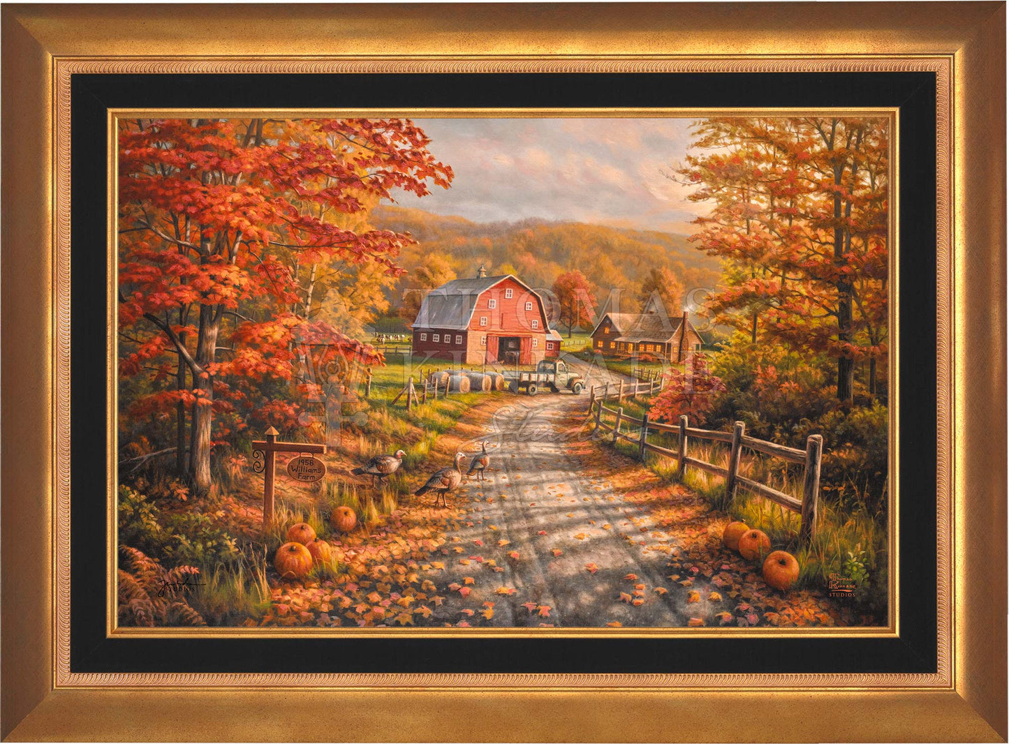 canvas_latfrm_aurgld-1.jpg