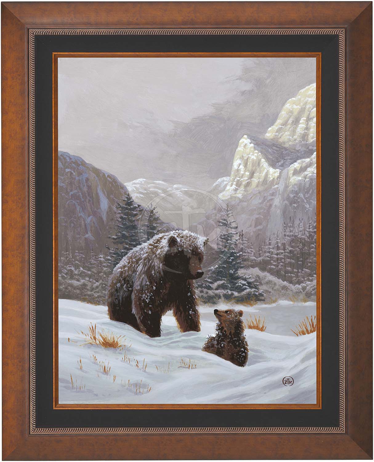 canvas_snoday_aurcop.jpg