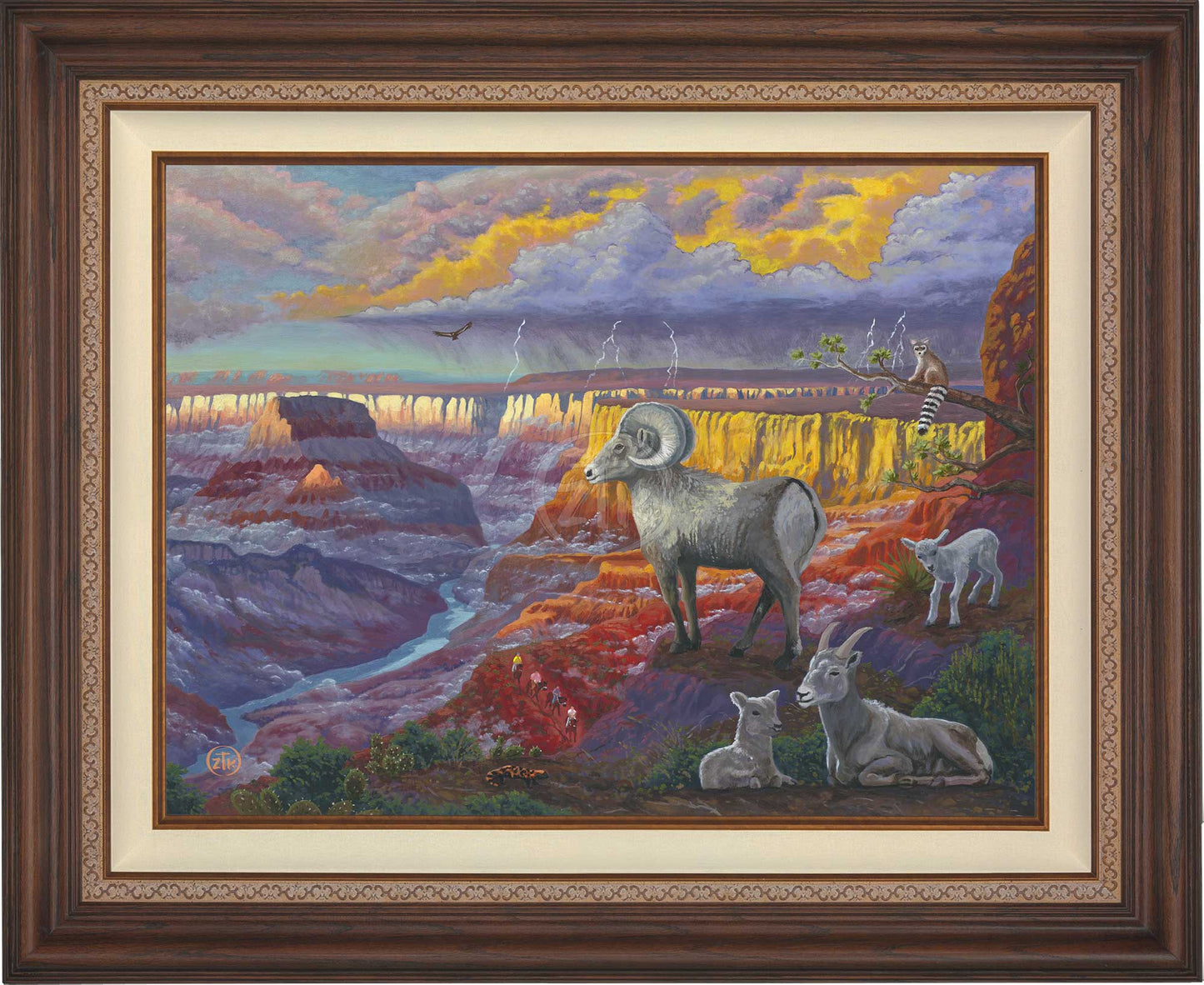 canvas_spgrca_drkwal-3.jpg