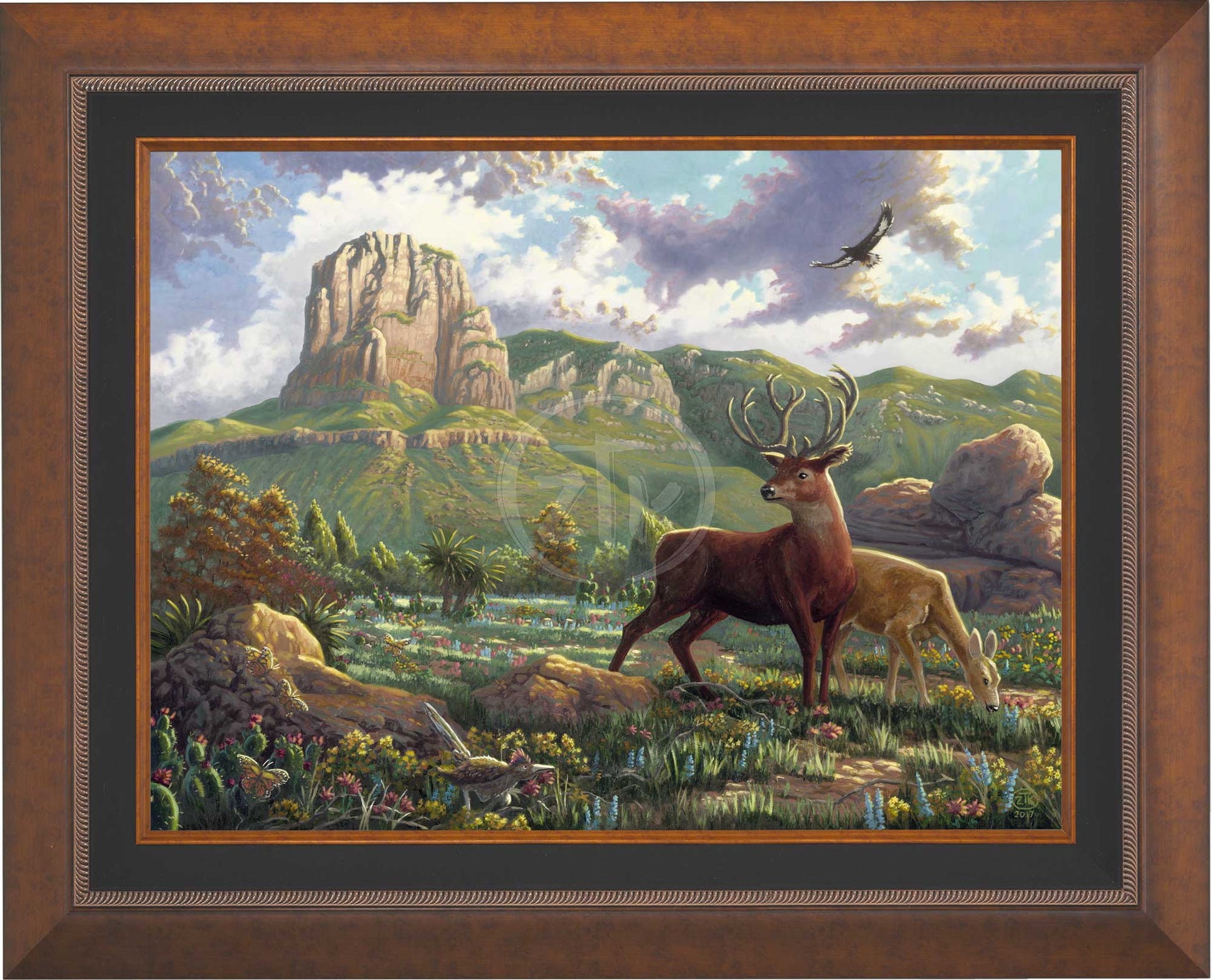canvas_spigua_aurcop.jpg