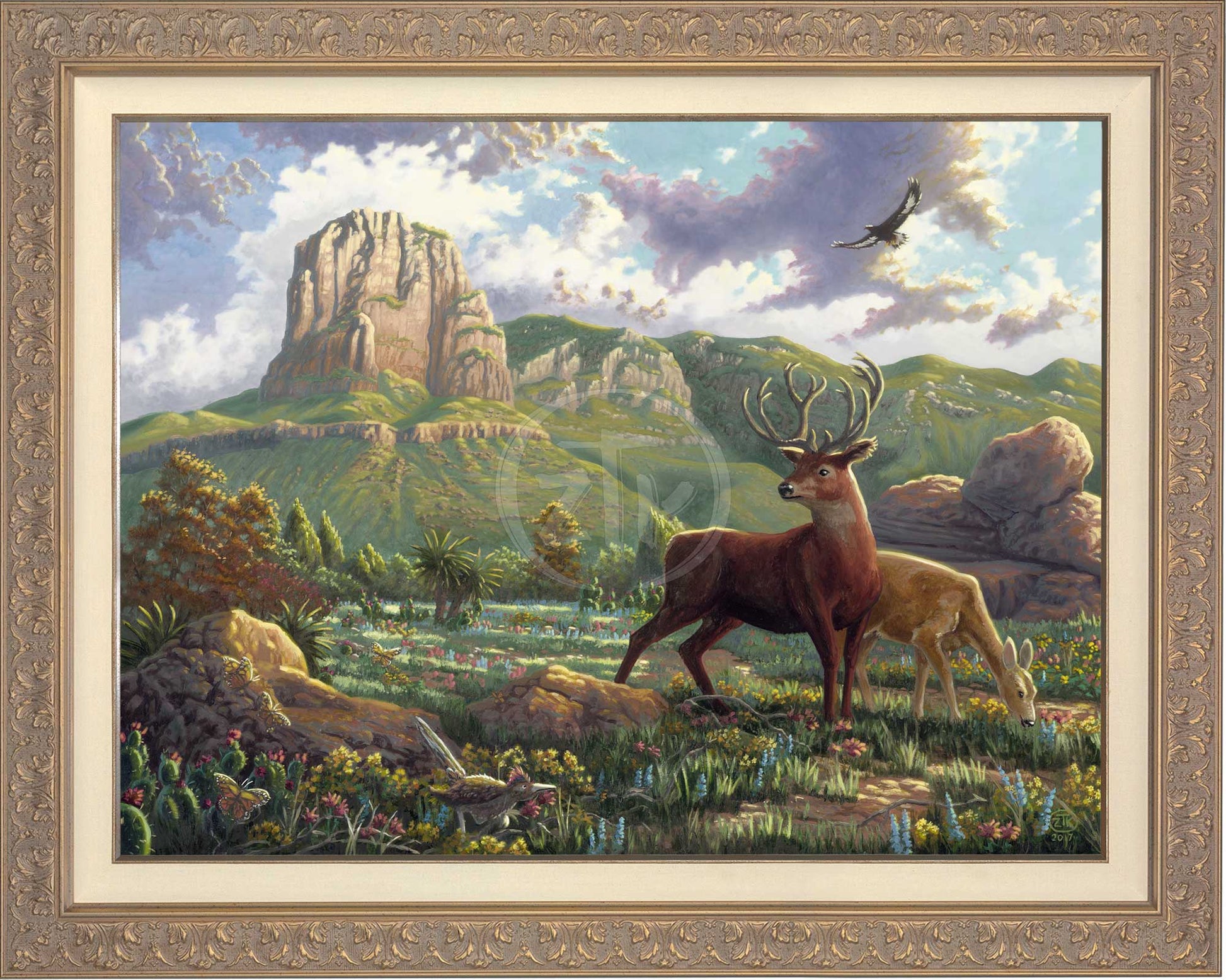 canvas_spigua_carisa.jpg