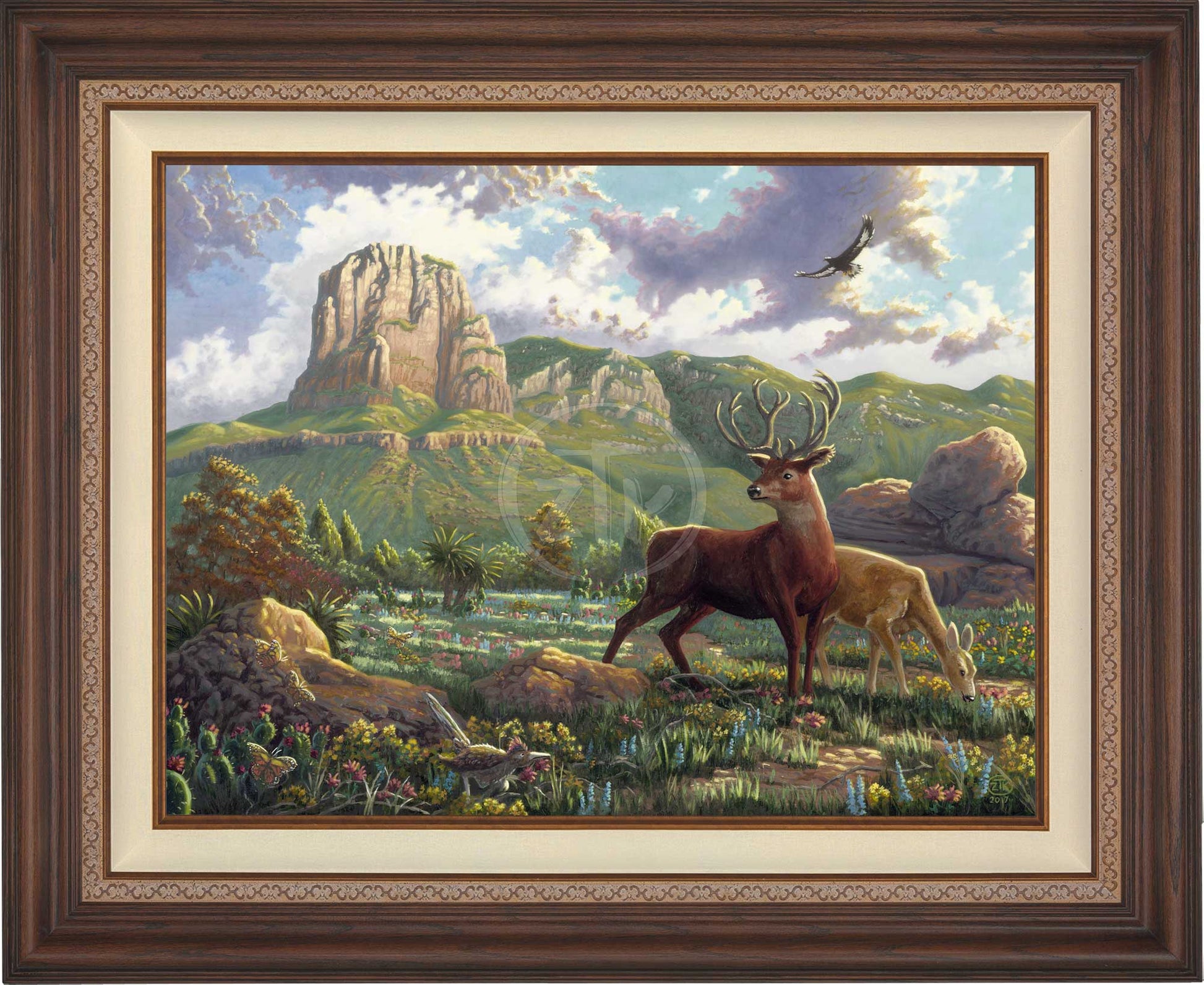 canvas_spigua_drkwal.jpg