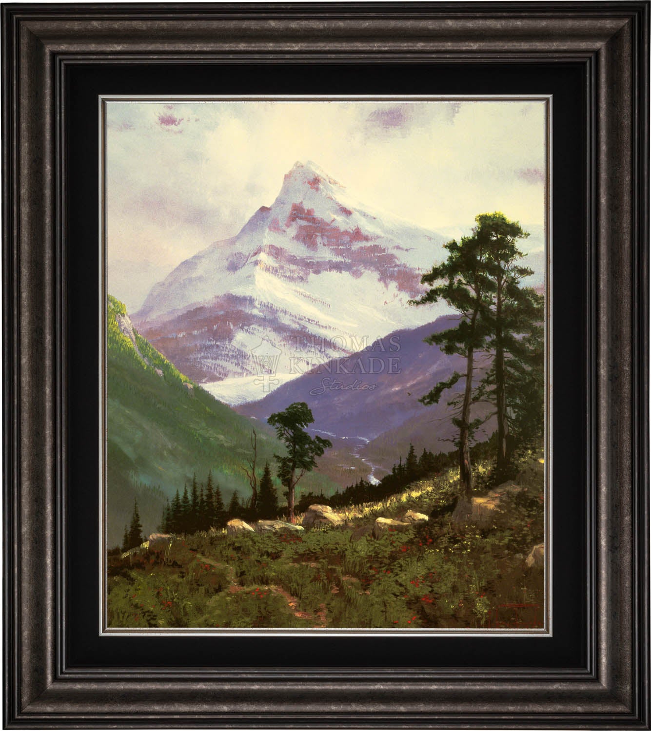 canvas_spralp_drkptr-1.jpg