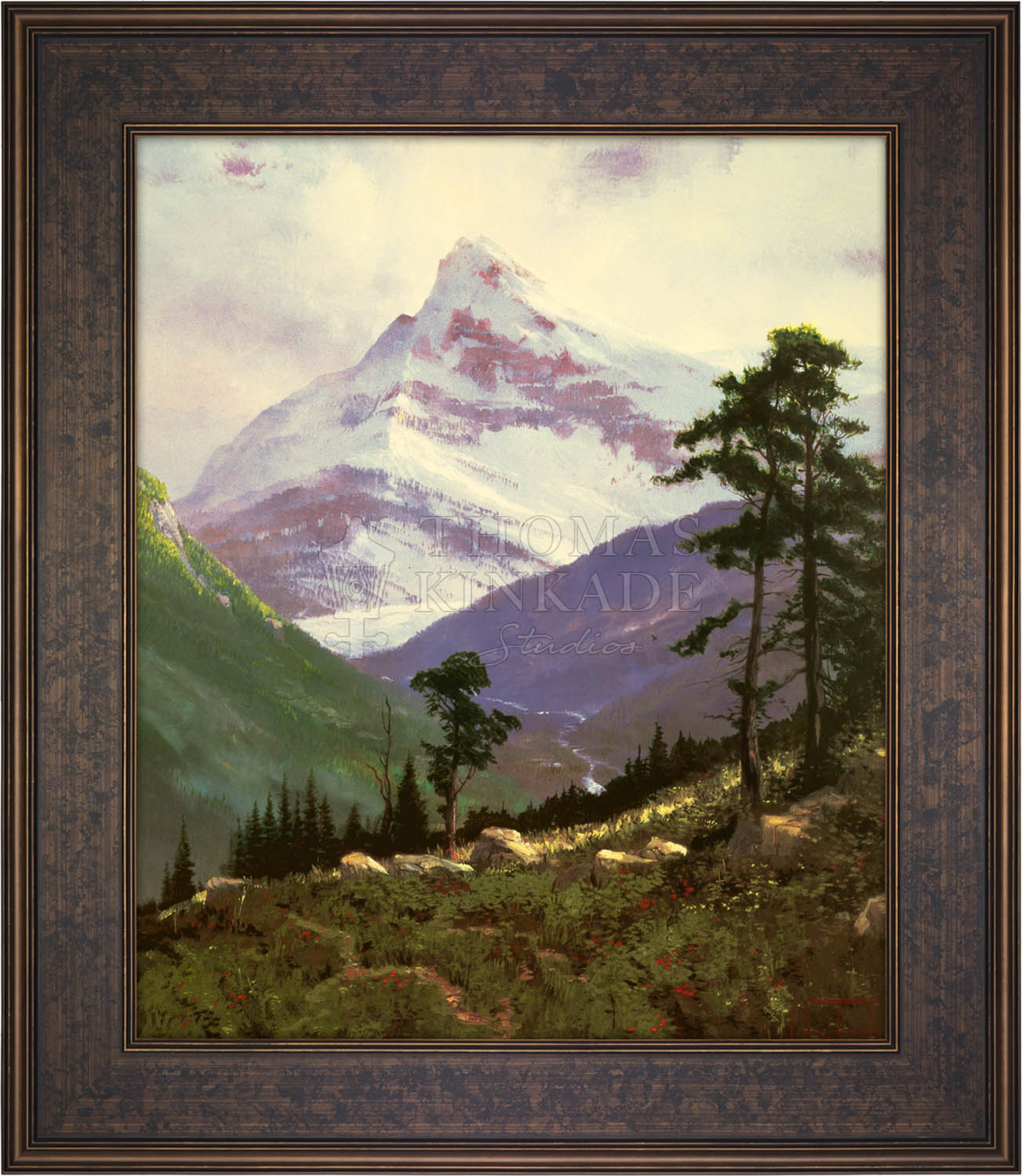 canvas_spralp_galbzn-3.jpg