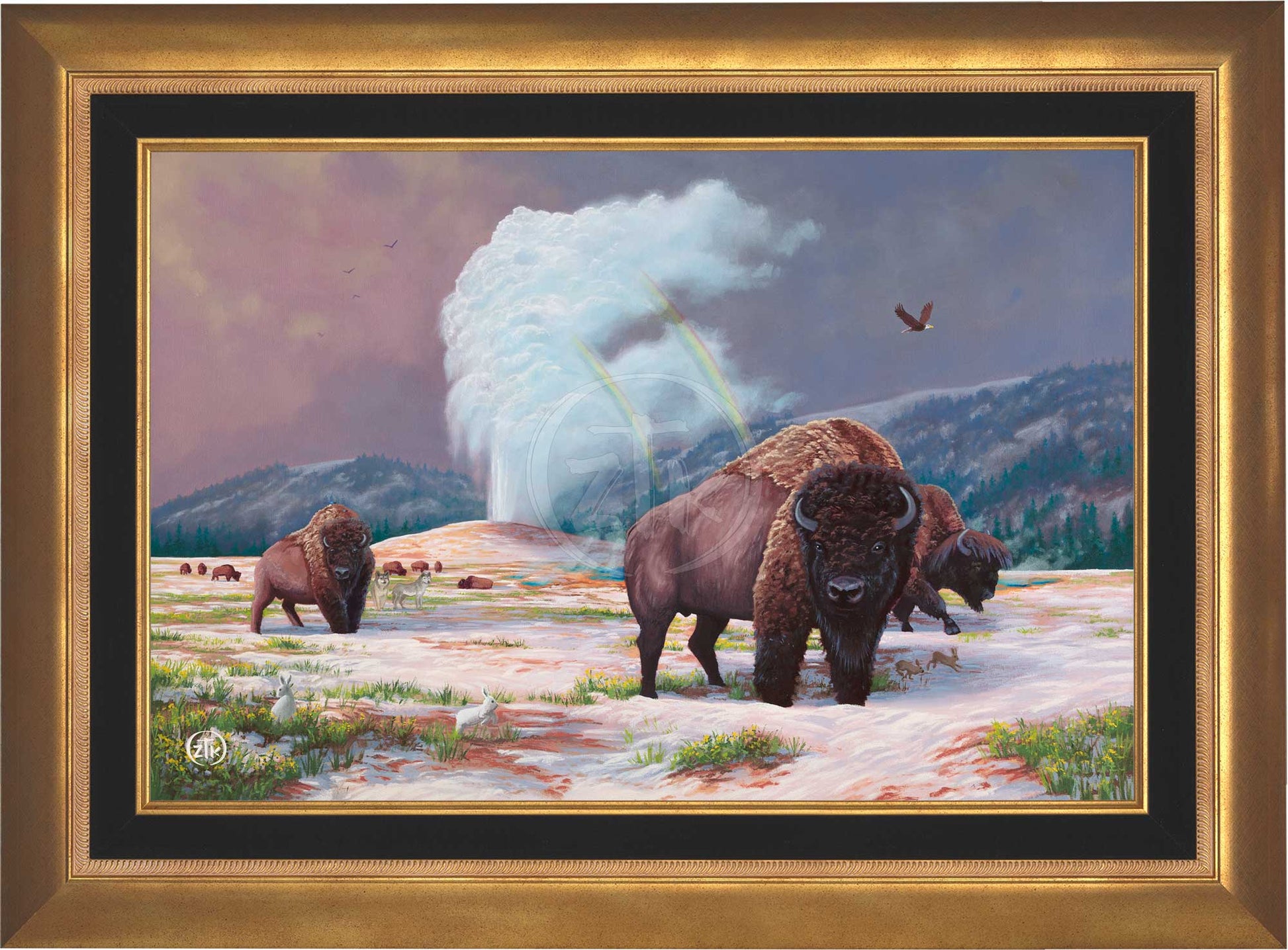 canvas_sprylw_aurgld.jpg