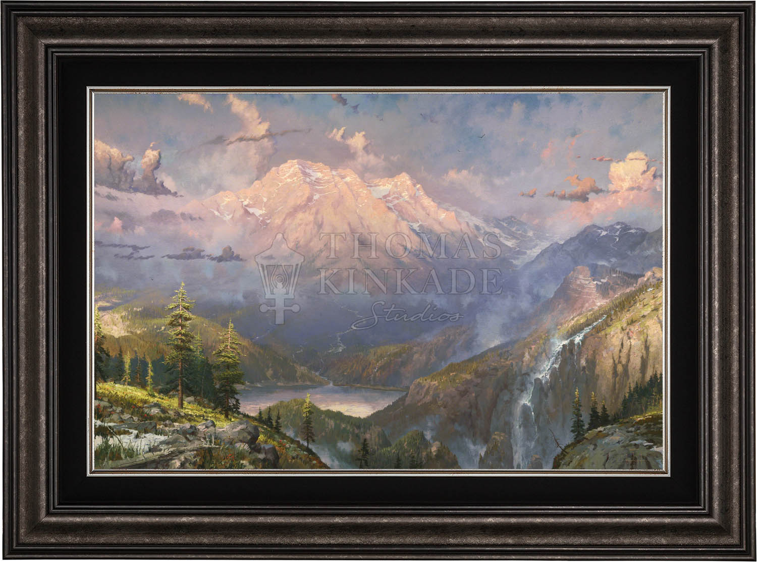 canvas_twivis_drkptr-2.jpg