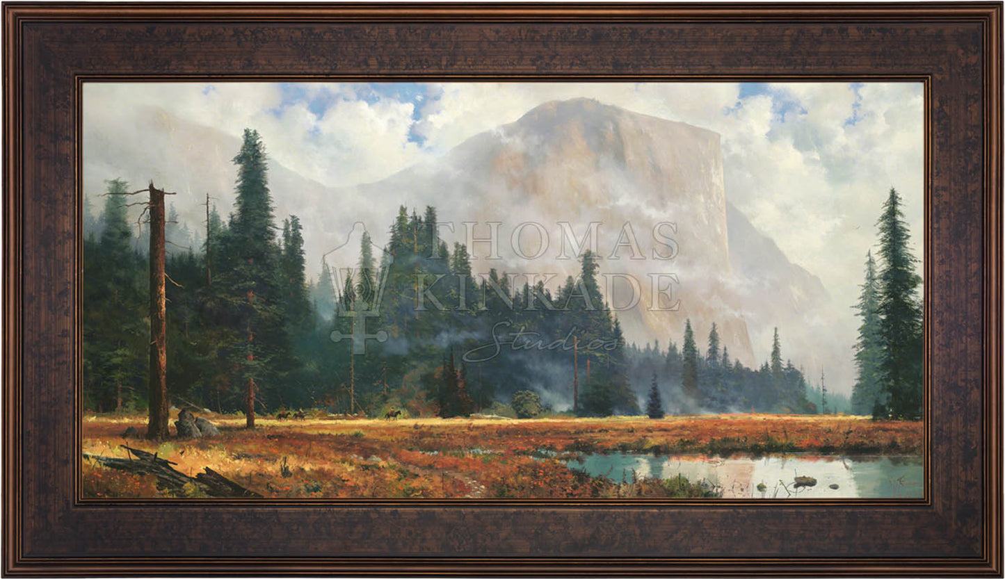 canvas_yosmea_galbzn-1.jpg