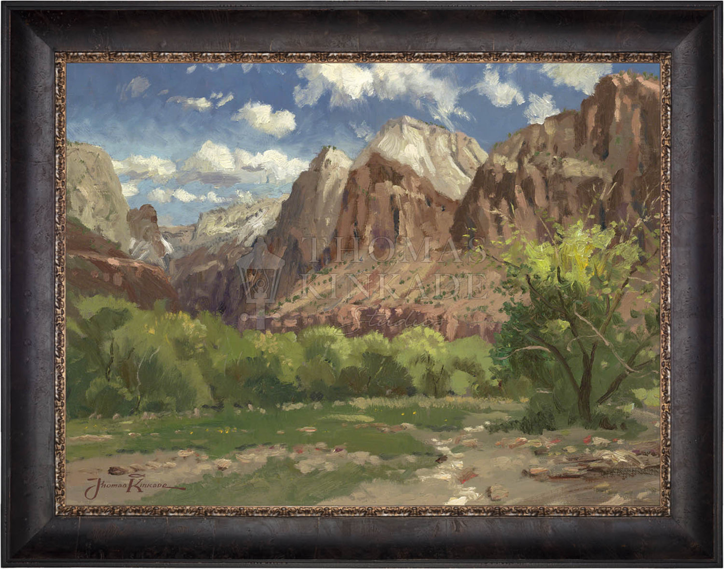 canvas_zionat_cabernet.jpg
