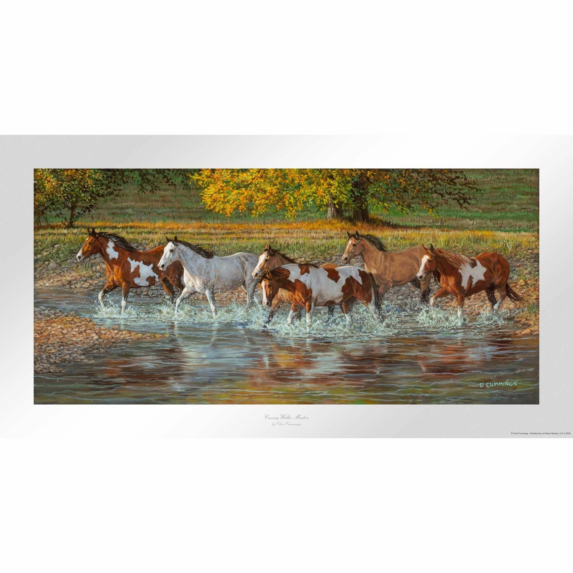 Crossing Walker Meadow Limited Edition Paper Print - Wild Wings