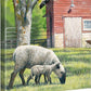 Daily Chores—Sheep Gallery Wrapped Canvas - Wild Wings