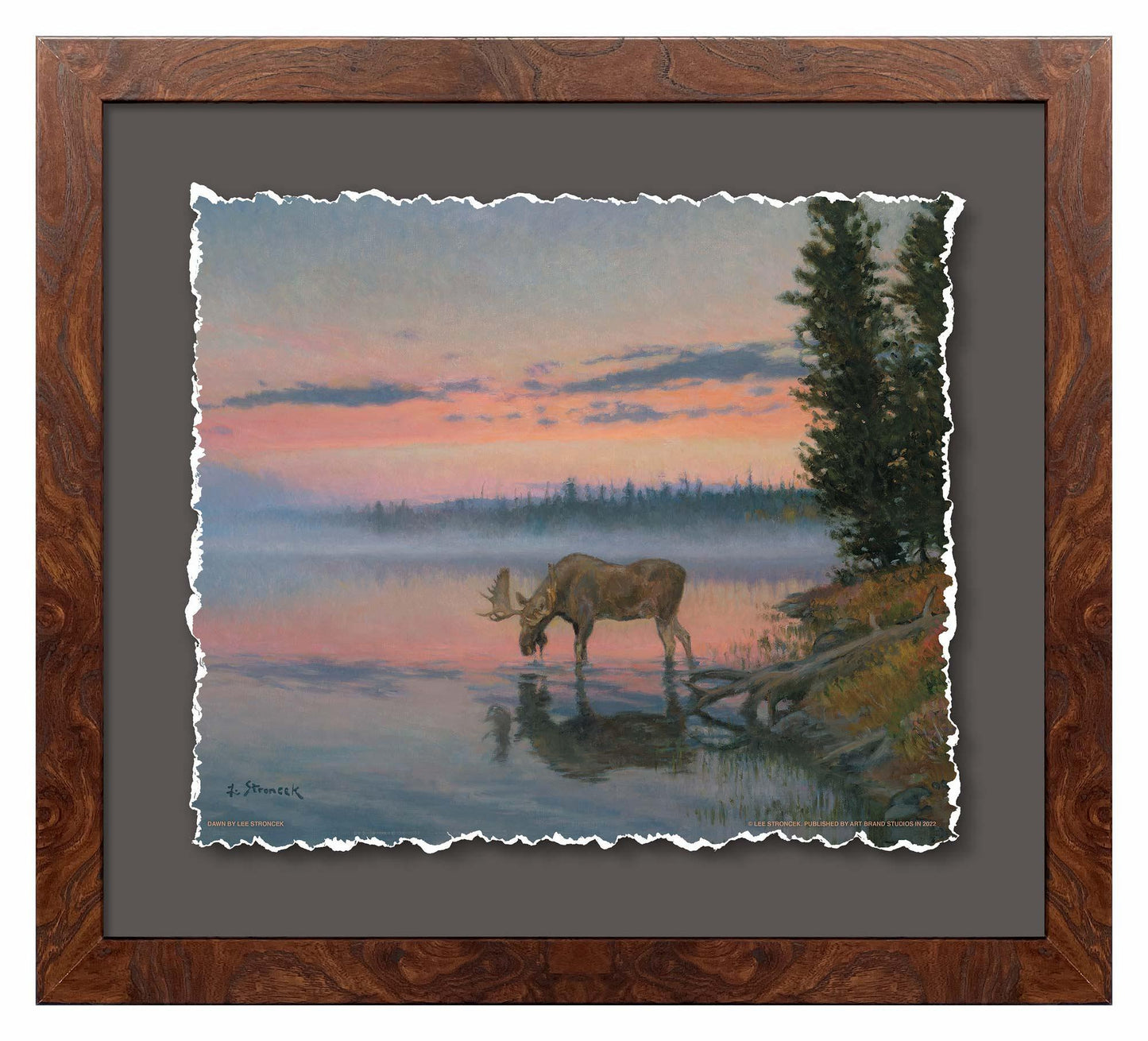Dawn—Moose Deckled Edge Paper Print - Wild Wings