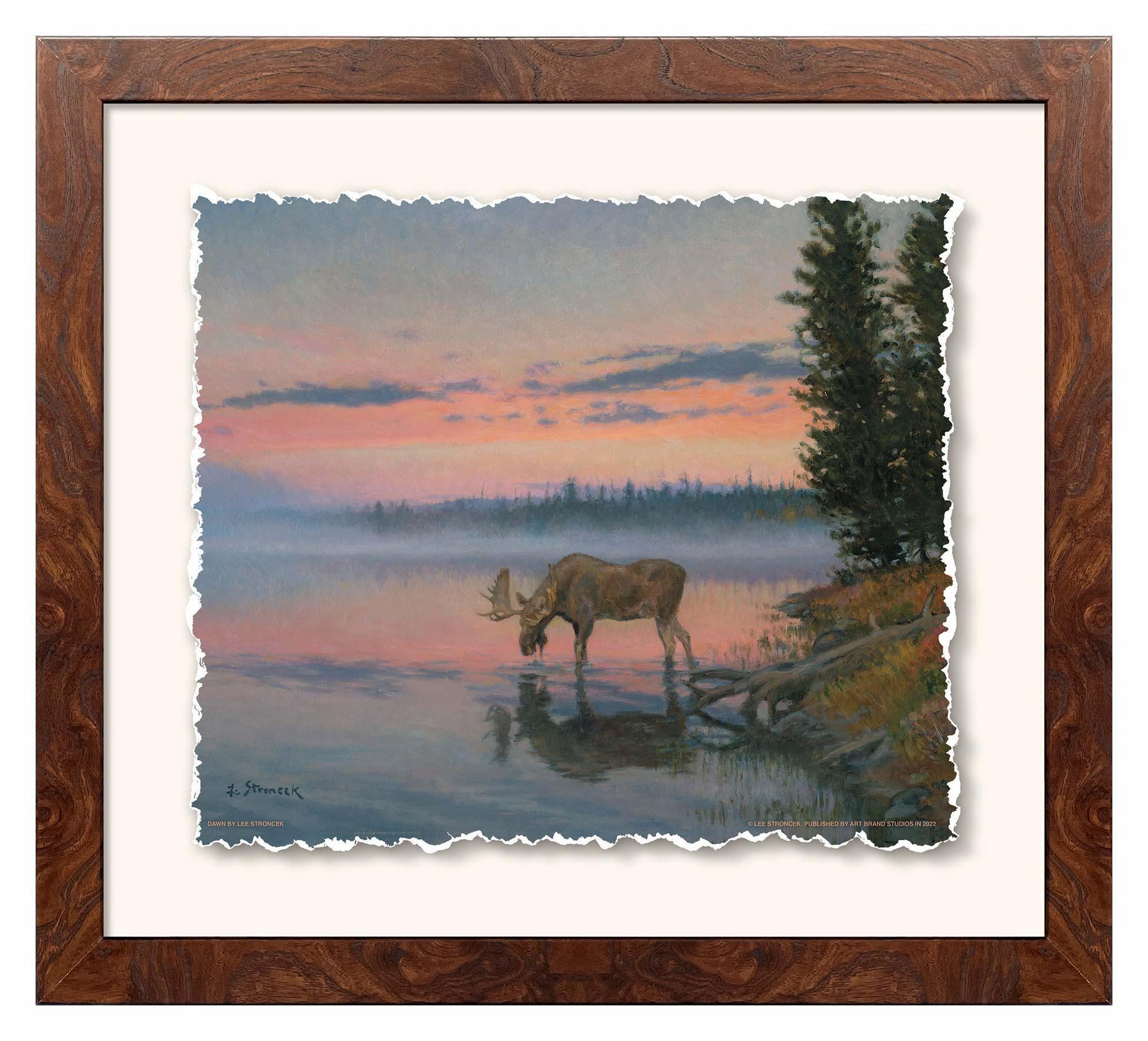 Dawn—Moose Deckled Edge Paper Print - Wild Wings