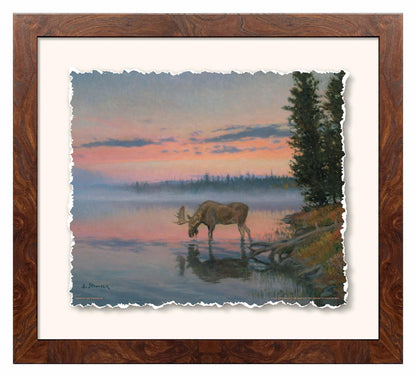 Dawn—Moose Deckled Edge Paper Print - Wild Wings