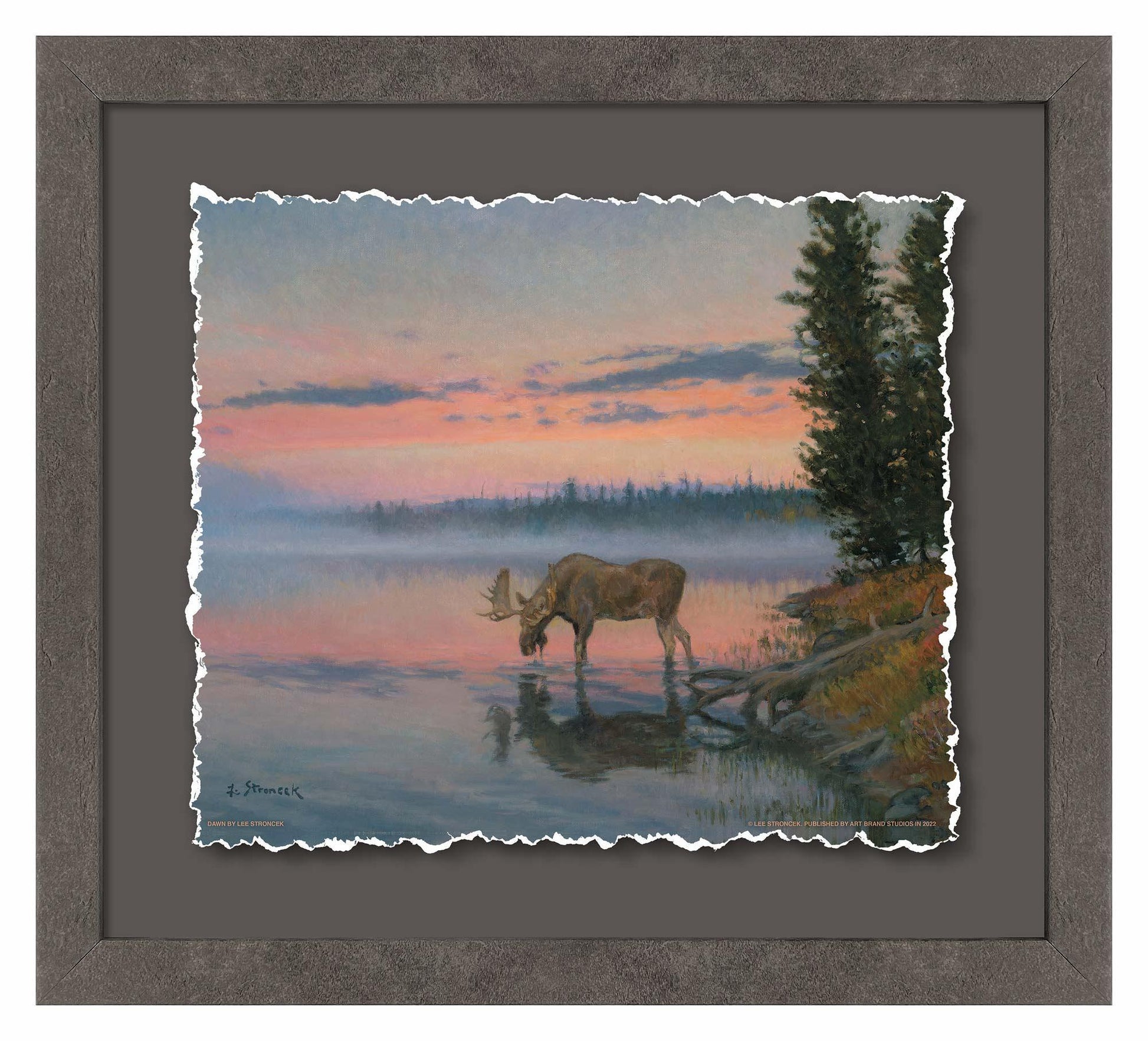 Dawn—Moose Deckled Edge Paper Print - Wild Wings