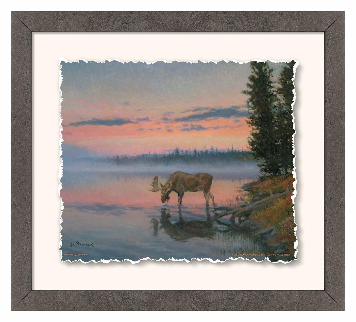 Dawn—Moose