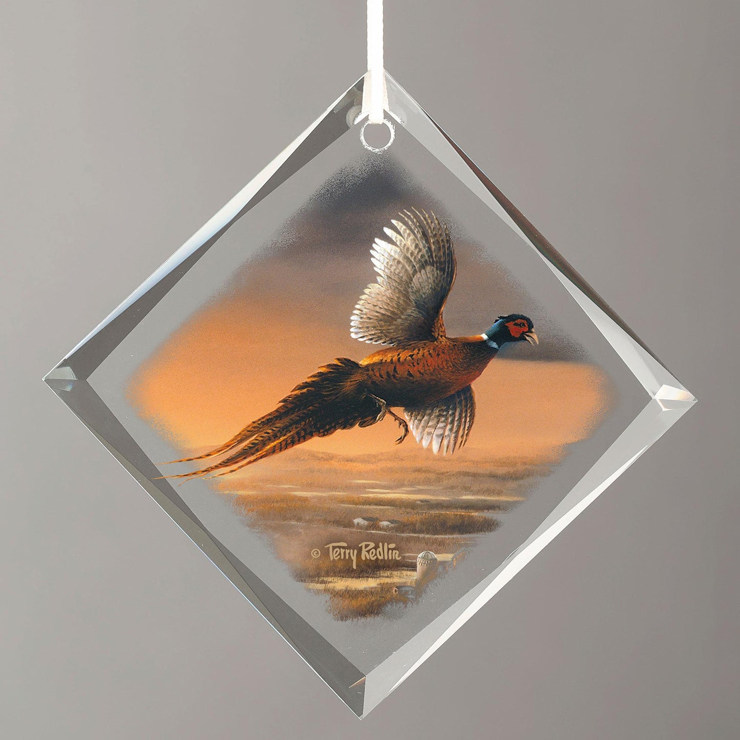 Evening Surprise - Pheasant Diamond-Shape Glass Ornament - Wild Wings