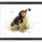 Duckling Distraction Art Print - Wild Wings