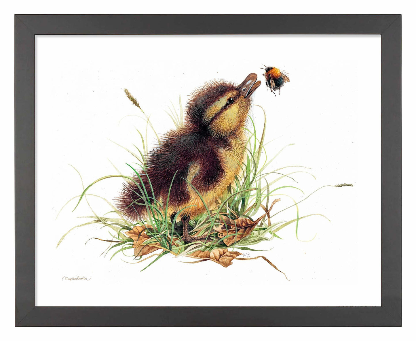 Duckling Distraction Art Print - Wild Wings