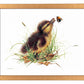 Duckling Distraction