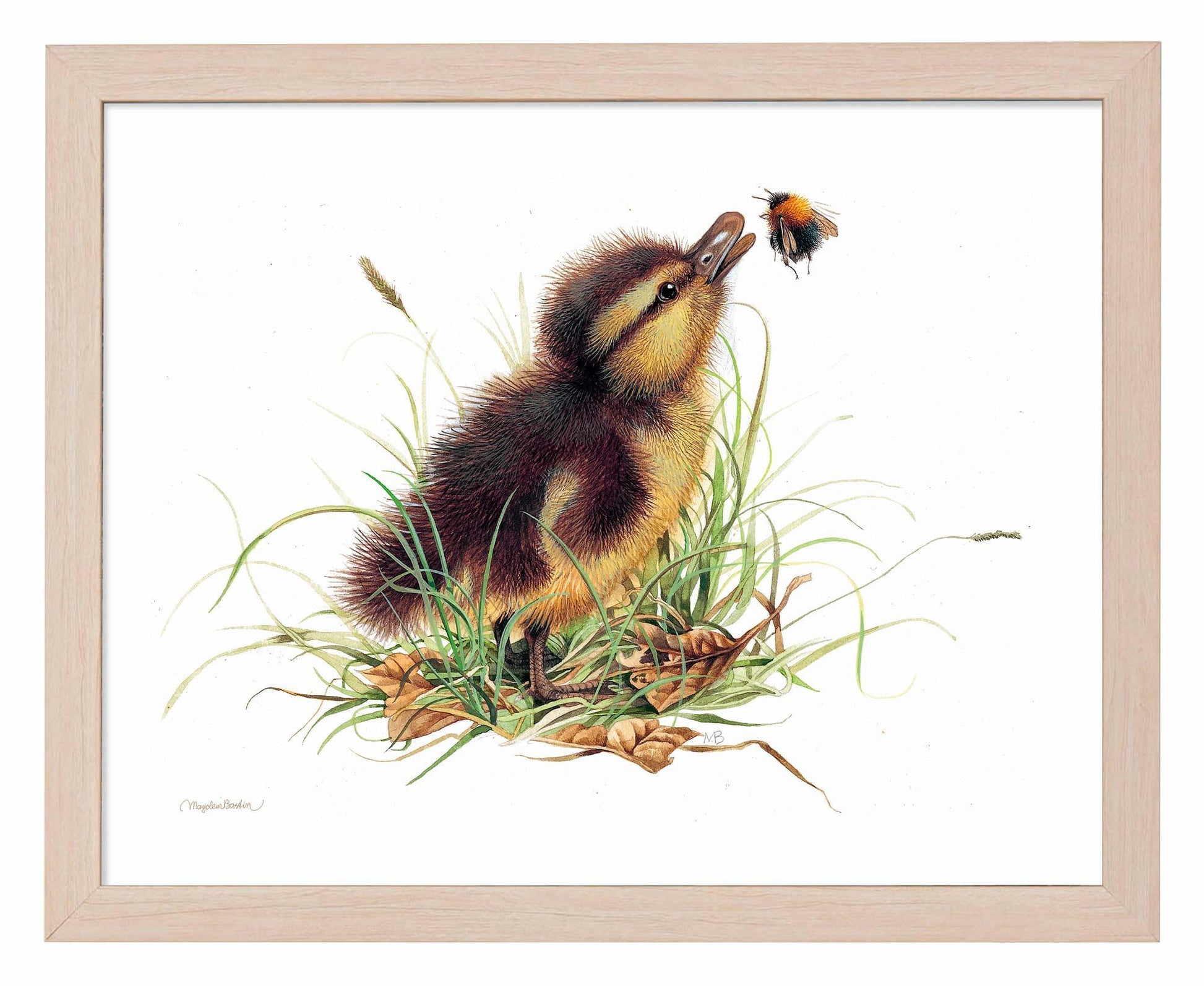 Duckling Distraction Art Print - Wild Wings