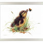 Duckling Distraction