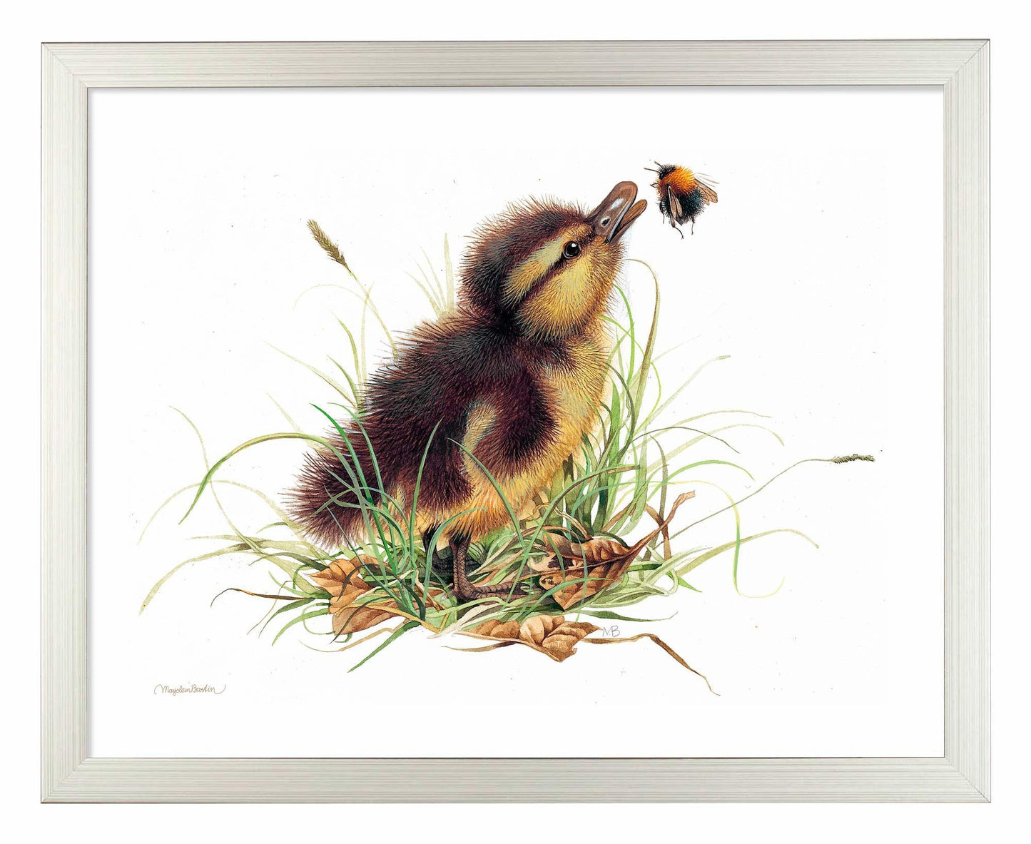 Duckling Distraction