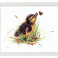 Duckling Distraction Art Print - Wild Wings