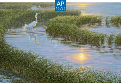 Evening Solitude—White Egret; Artist Proof Edition (AP)