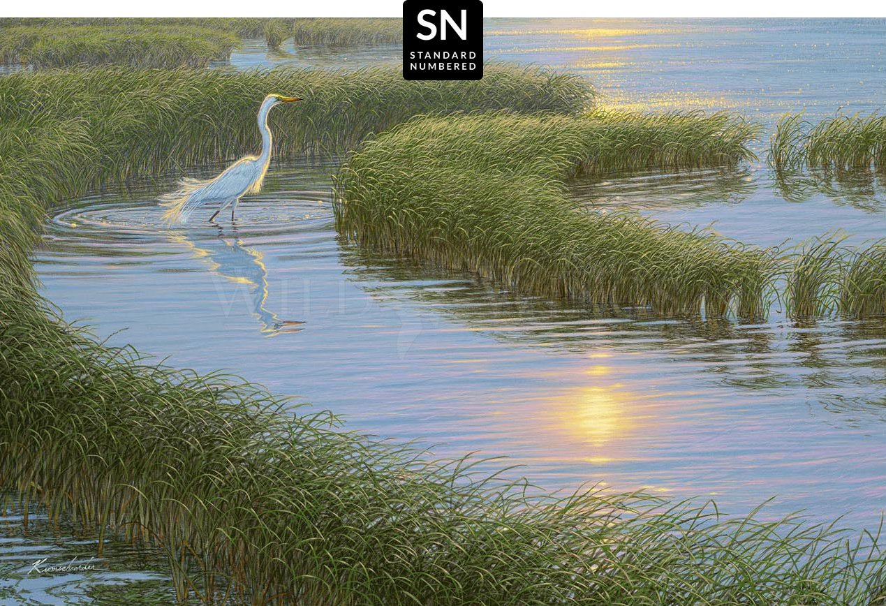 Evening Solitude—White Egret; Standard Numbered Edition (SN)