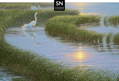 Evening Solitude—White Egret; Standard Numbered Edition (SN)
