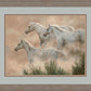 Above the Clouds Limited Edition Paper Print - Wild Wings