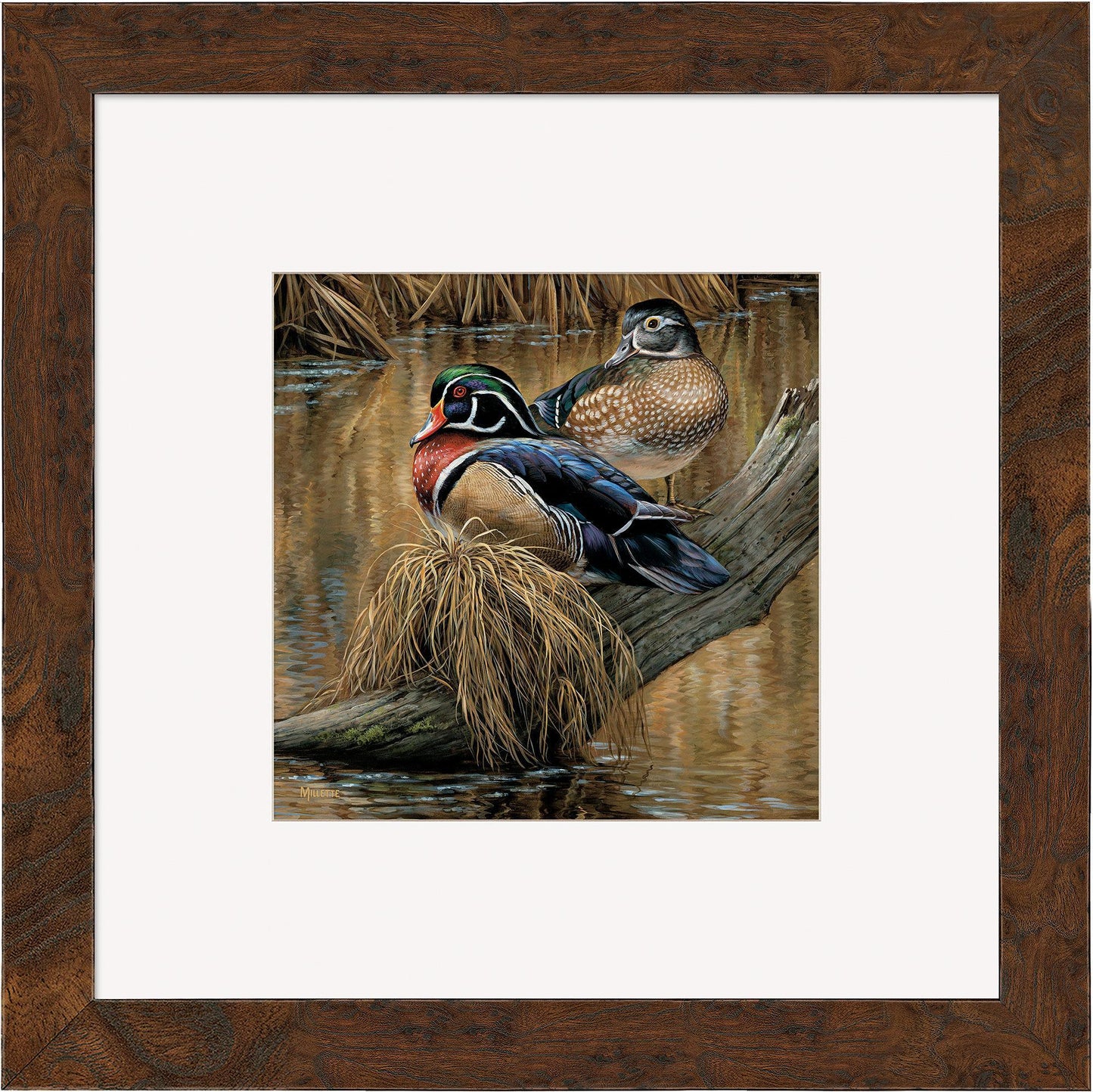 Backwater—Wood Ducks Contempo Square - Wild Wings
