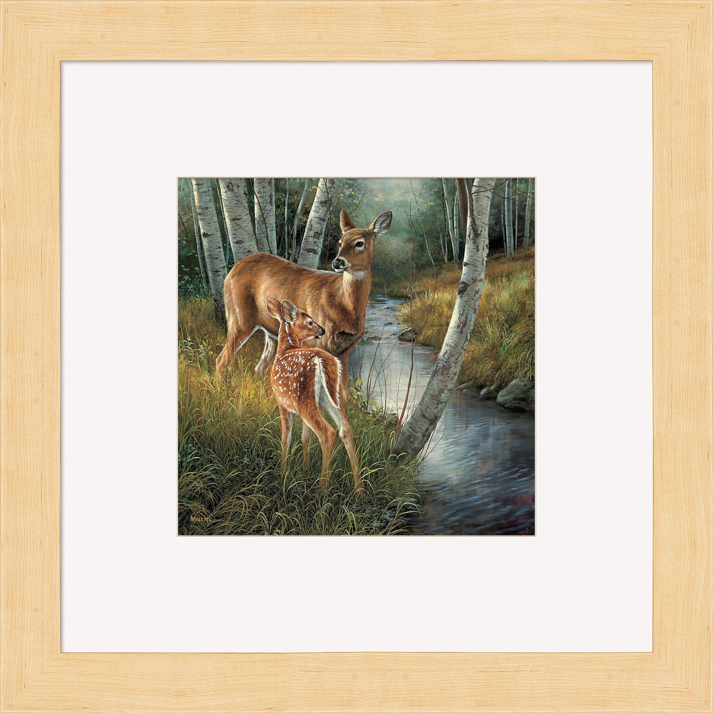 Birch Creek—Whitetail Deer Contempo Square - Wild Wings