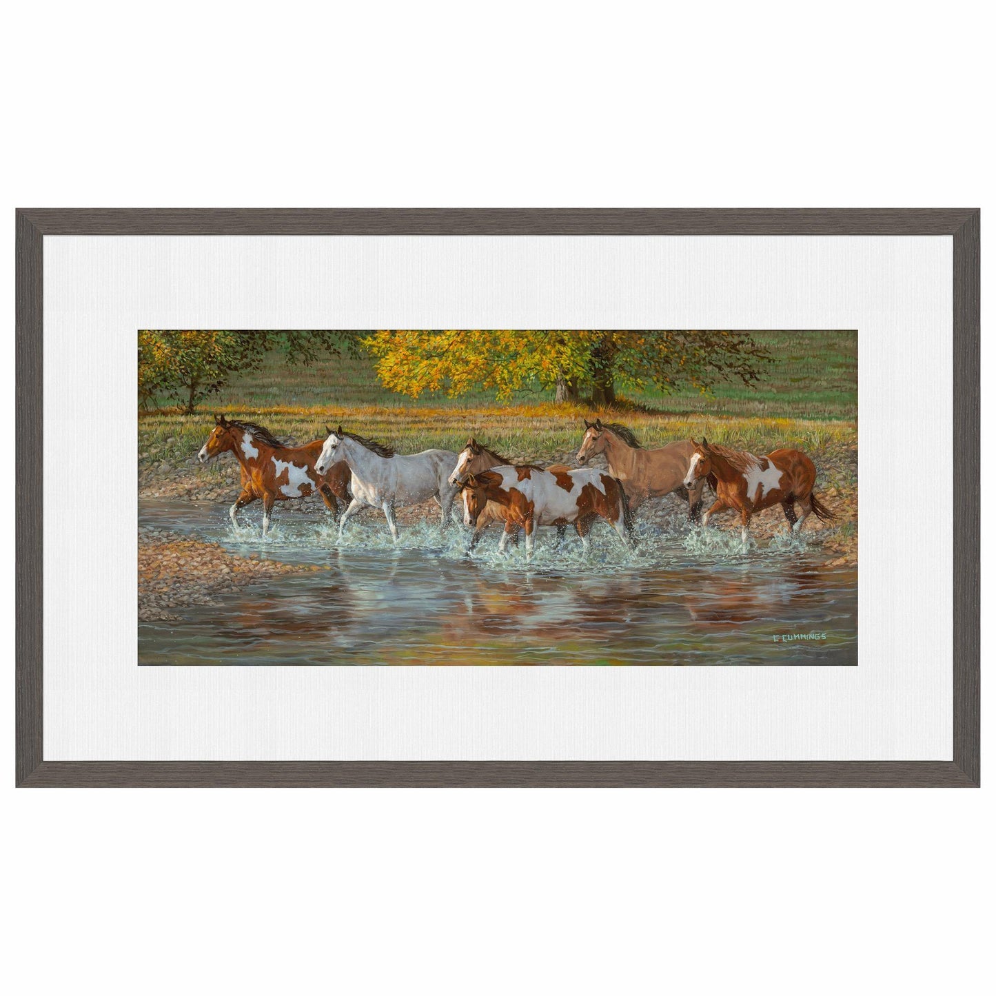 Crossing Walker Meadow Limited Edition Paper Print - Wild Wings