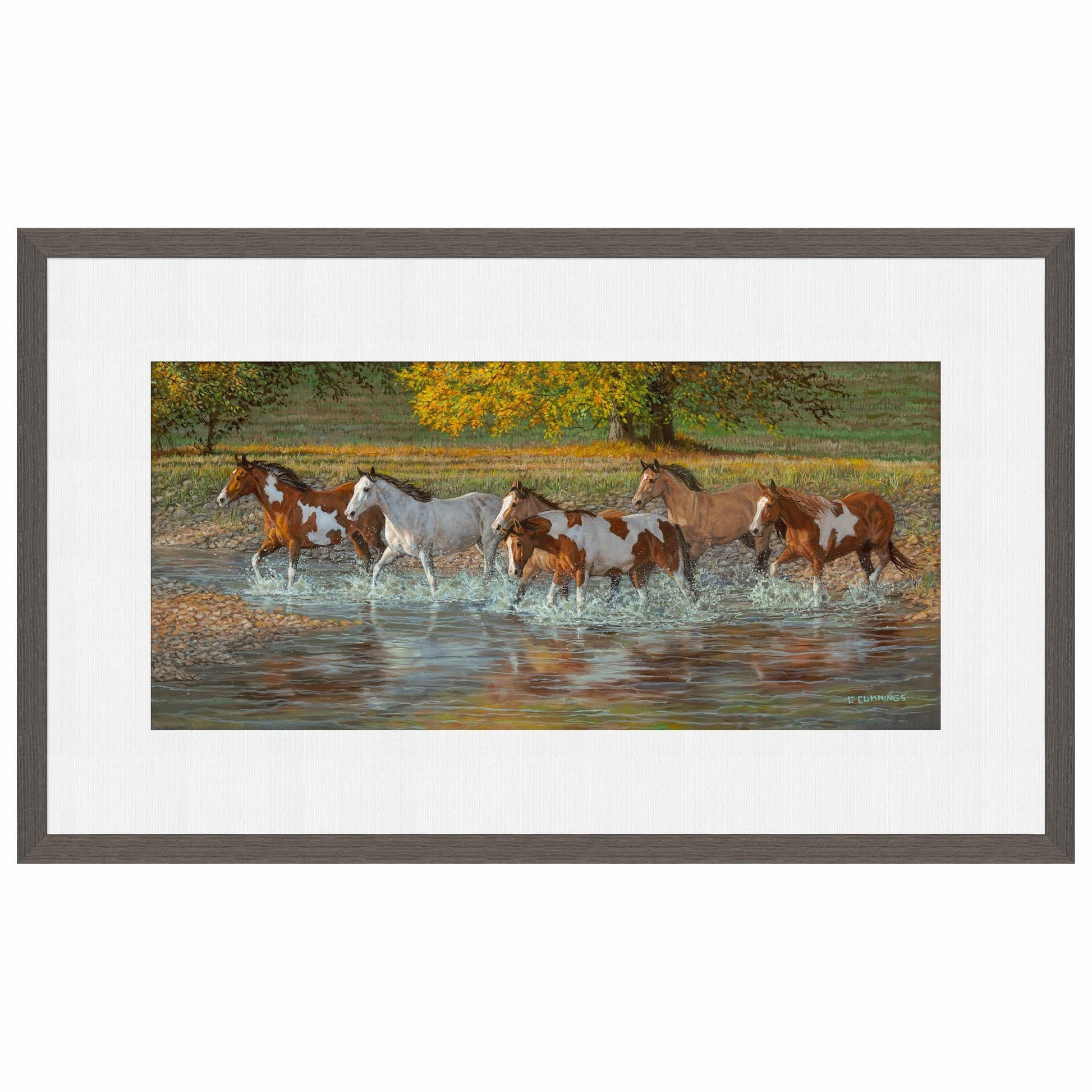 Crossing Walker Meadow Limited Edition Paper Print - Wild Wings