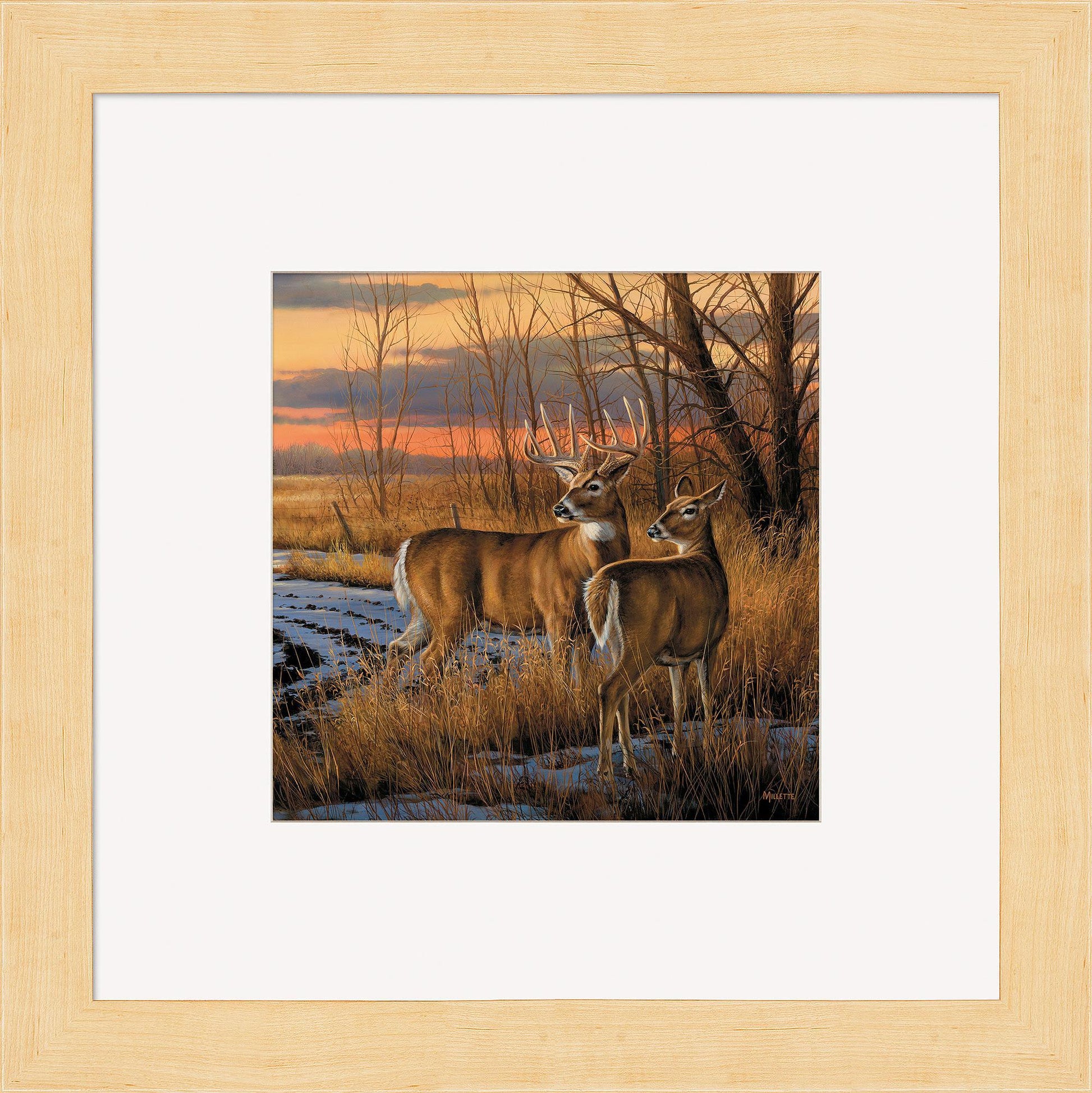 Daybreak—Whitetail Deer Contempo Square - Wild Wings