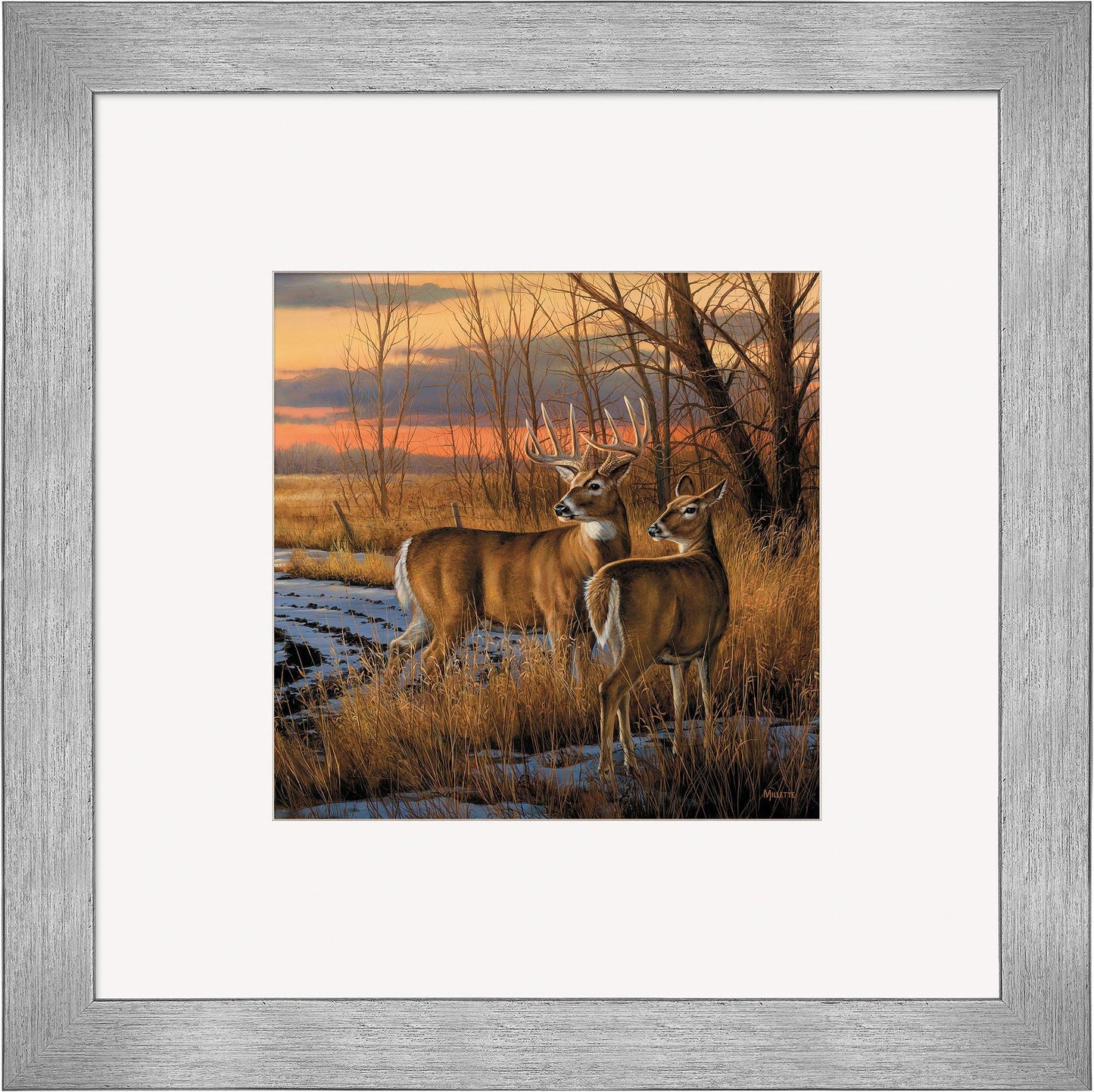 Daybreak—Whitetail Deer Contempo Square - Wild Wings