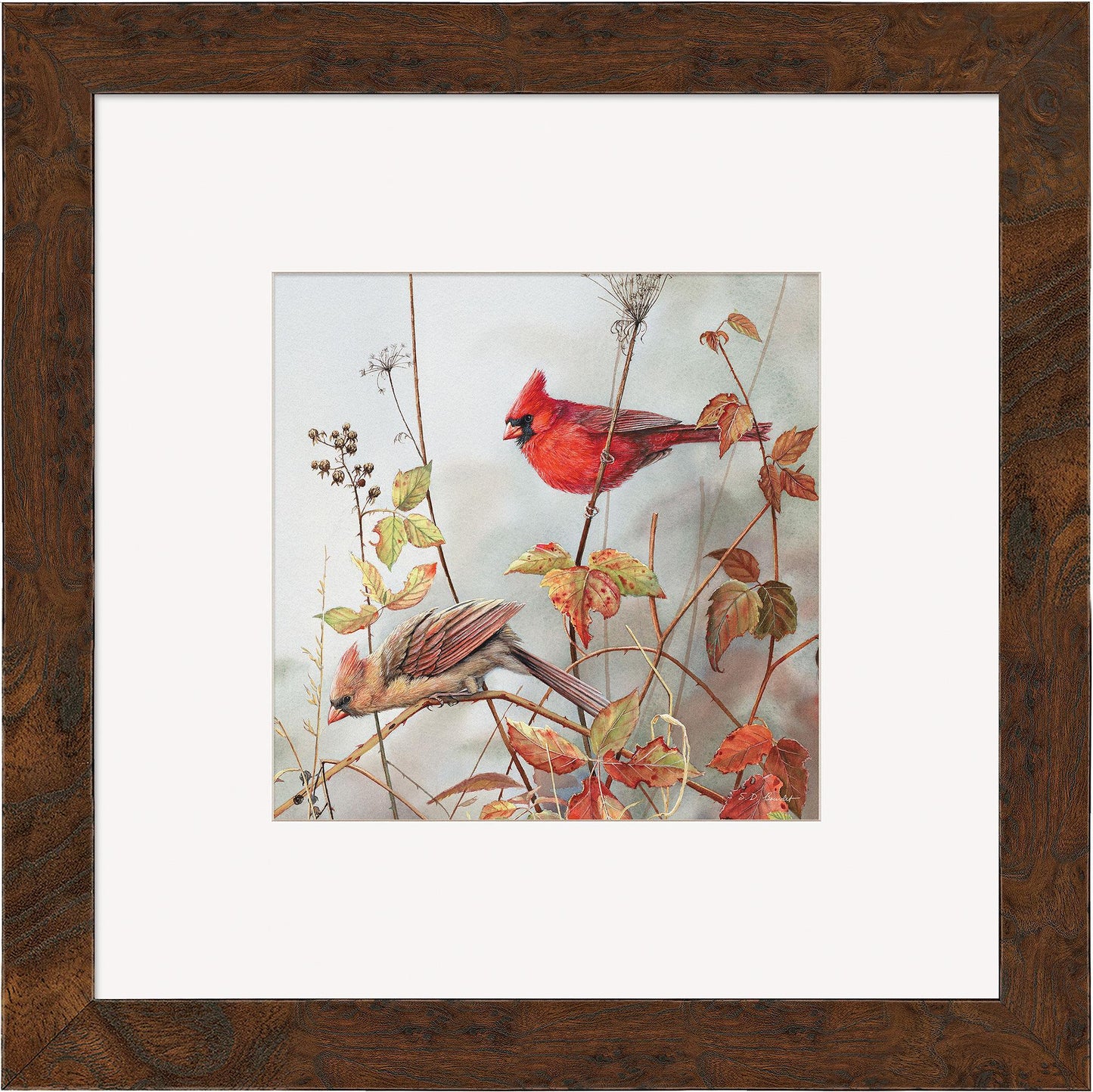 Fall Brilliance—Cardinals Contempo Square - Wild Wings