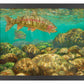 Baetis Feast—Rainbow Trout Art Print - Wild Wings