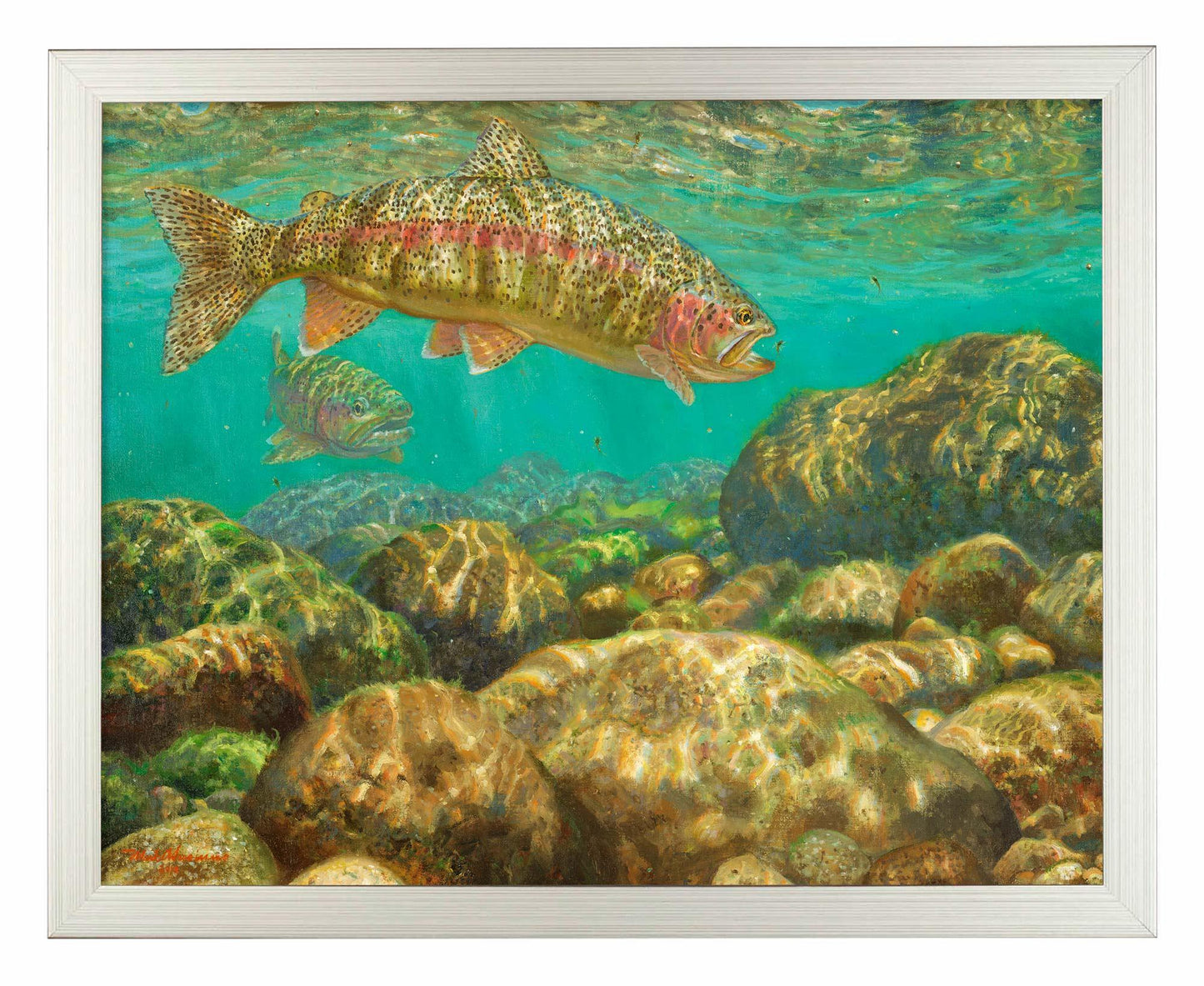 Baetis Feast—Rainbow Trout