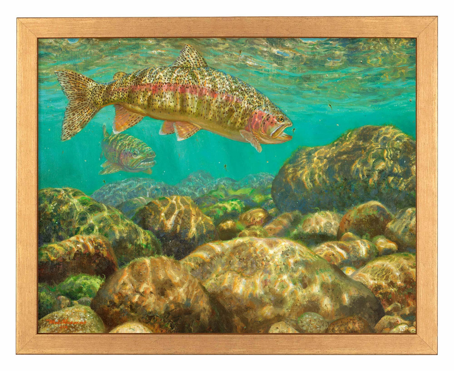 Baetis Feast—Rainbow Trout