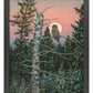 Great Gray Hunter Art Print - Wild Wings